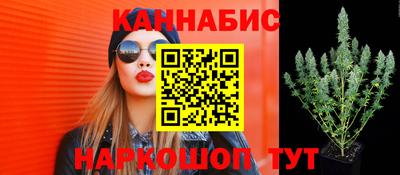 бошки Донской
